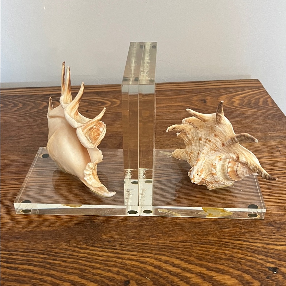 Vintage Pair of Acrylic Natural Spider Conch Shell Bookends